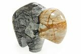 Polished Picasso Marble Bison - Utah #308670-1